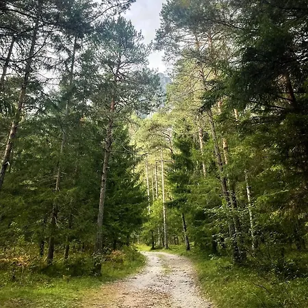 Pian Della Velma - Auronzo Di Cadore شقة Giralba